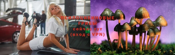 спайс Майский