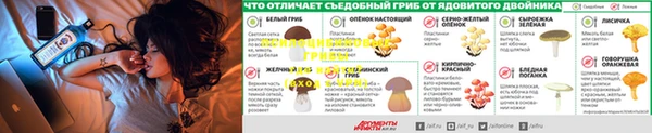 спайс Майский