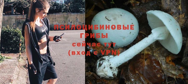 тгк Магас